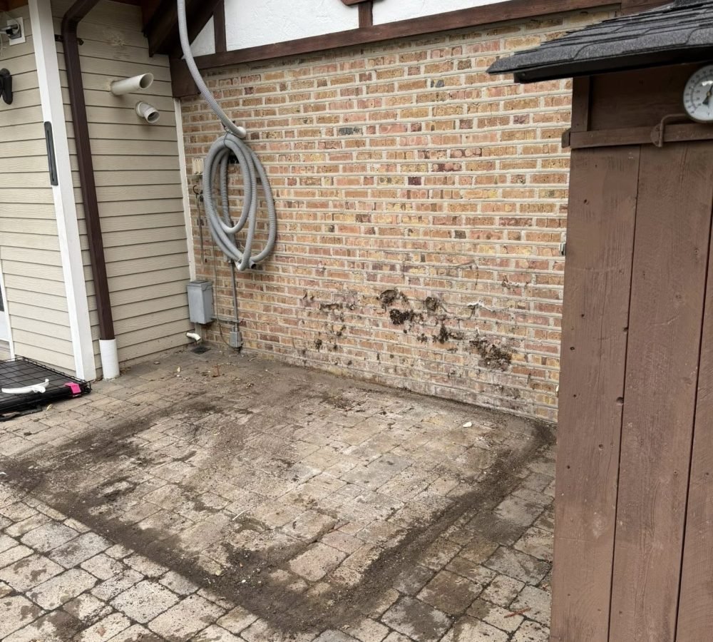 578483866_122117603733002780_3931942543213260370_n